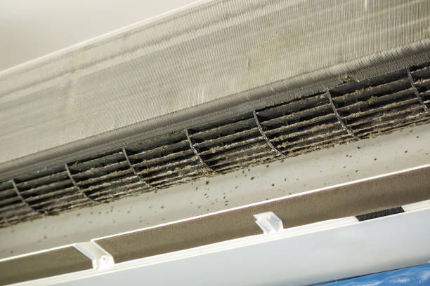 Best HVAC System Cleaning  in Fullerton, PA